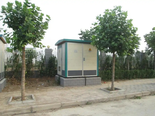 大新1000KVA欧式箱式变压器